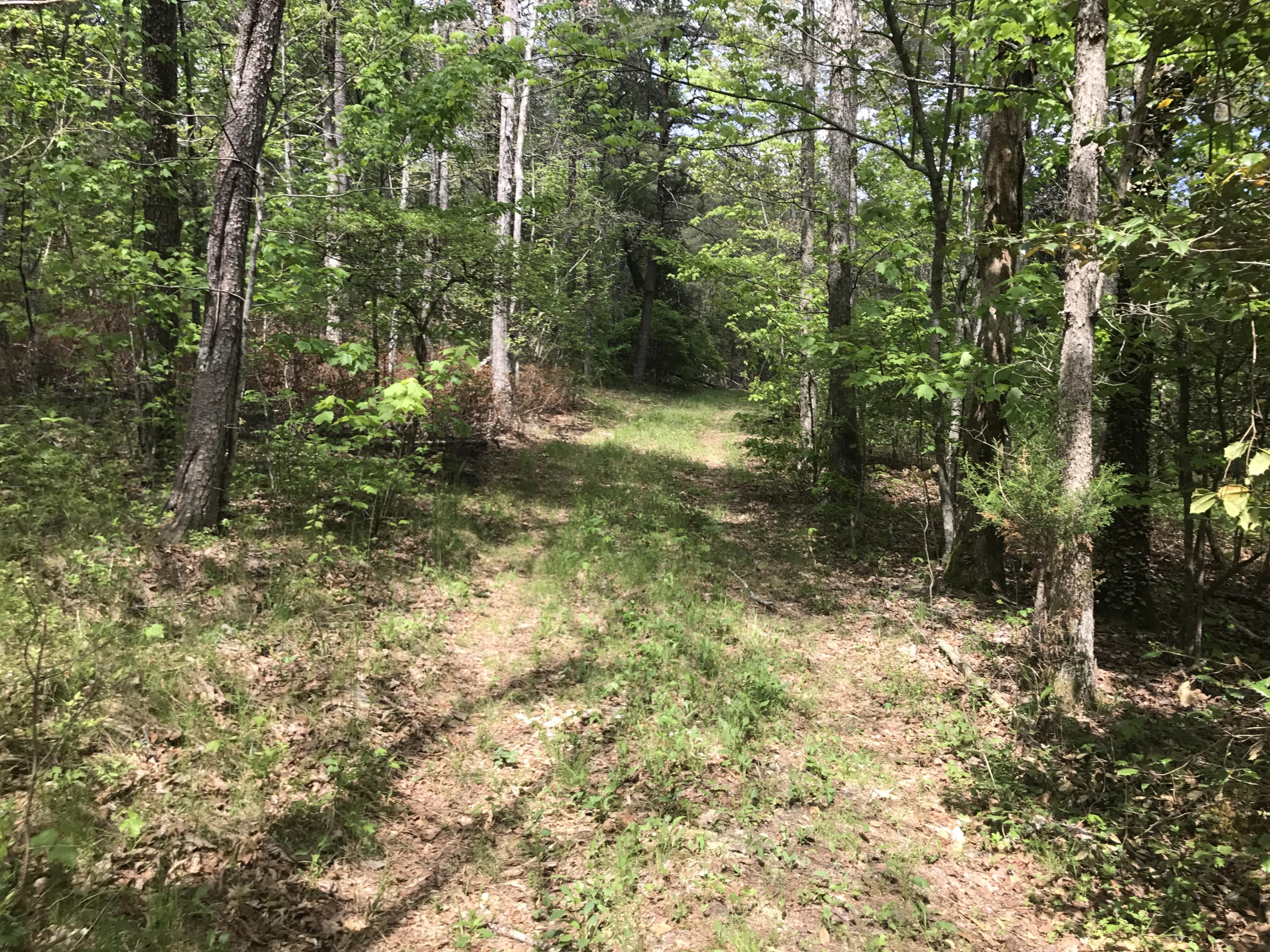 27 Henson Gap Road Dunlap, TN 37327 - Photo 6 of 47 IMG_1674