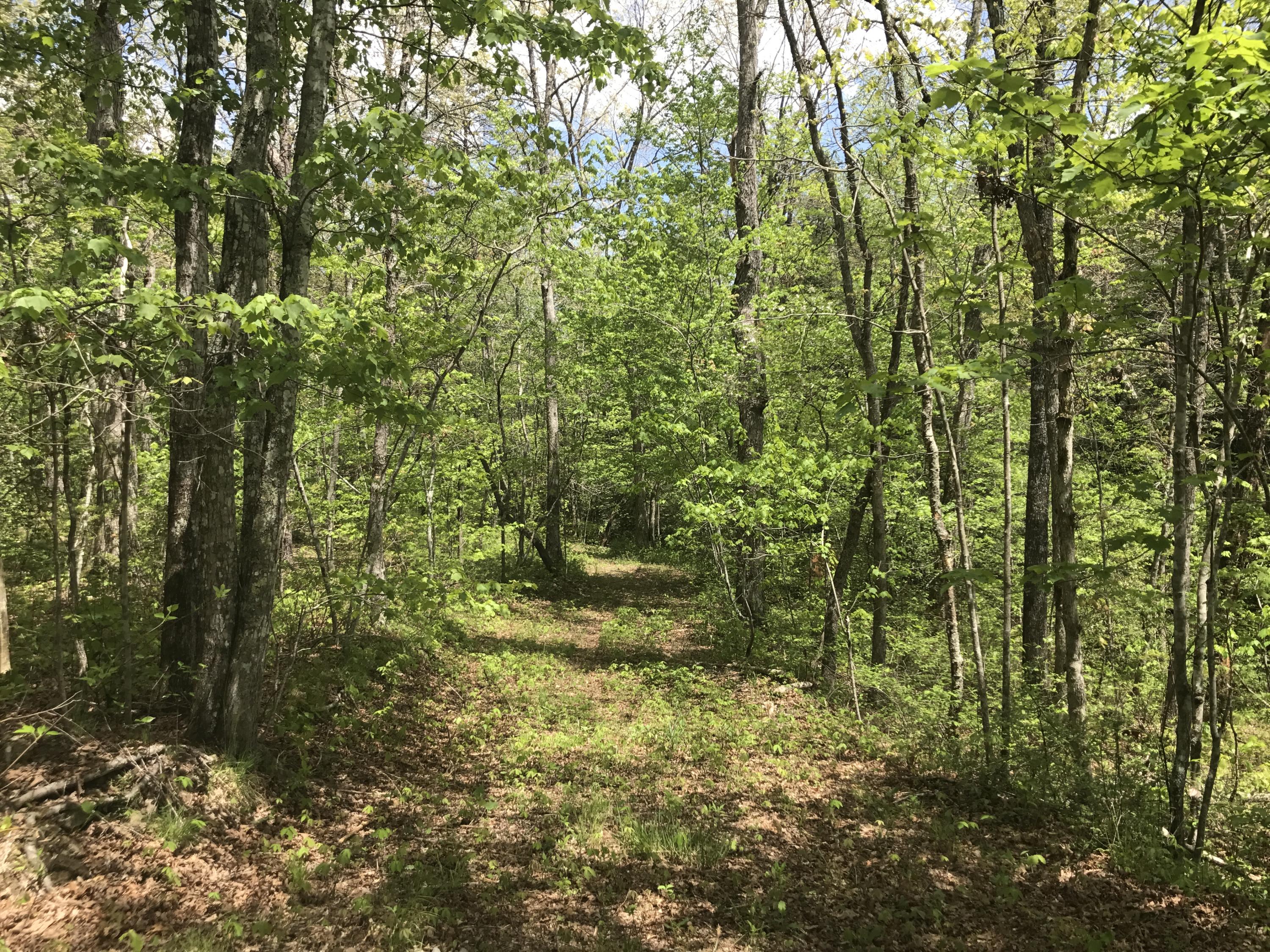 27 Henson Gap Road Dunlap, TN 37327 - Photo 10 of 47 IMG_1621
