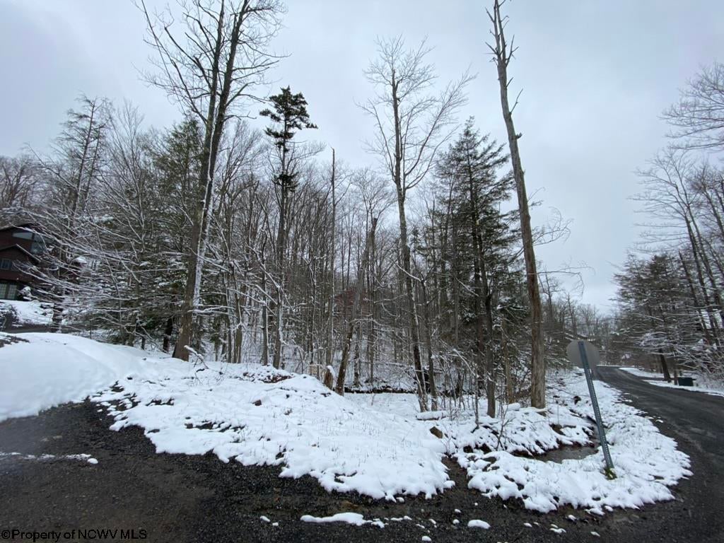 59 Slopeside Road Davis, WV 26260 - Photo 10 of 44 Gallery Image 10
