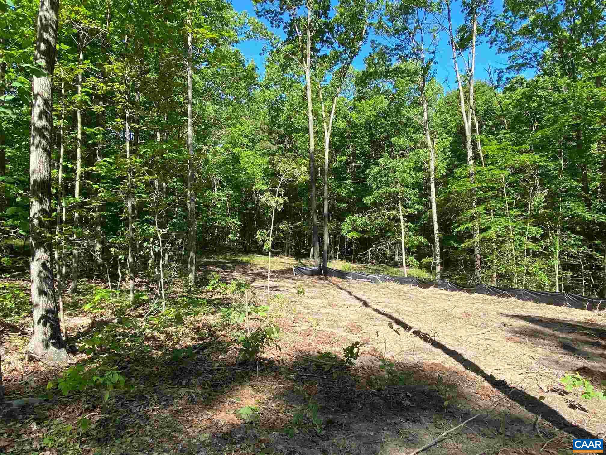 351 Mallorys Ford Road Louisa, VA 23093 - Photo 59 of 60 Gallery Image 59