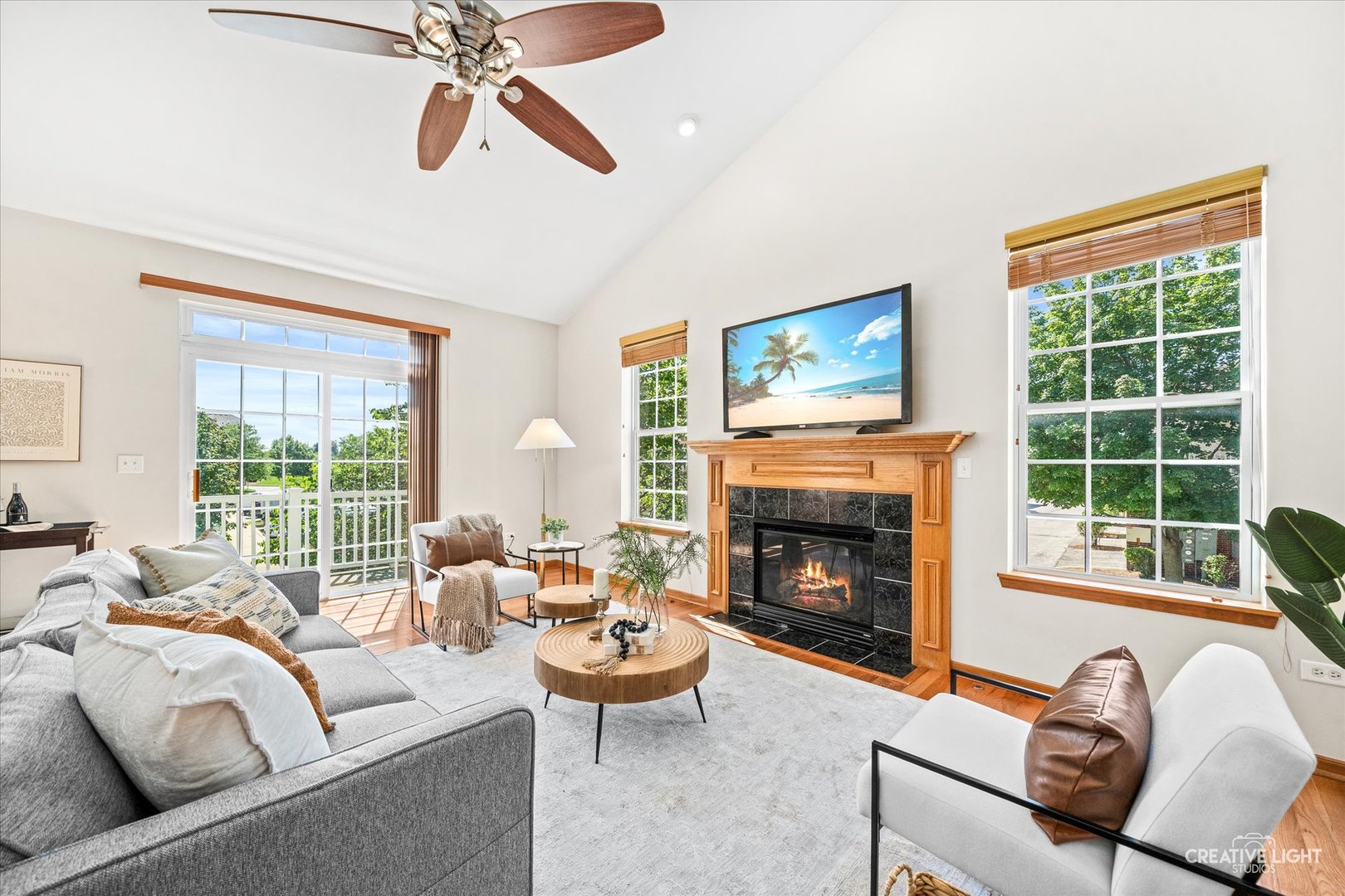 906 Neudearborn Lane Naperville, IL 60563 - Photo 3 of 27