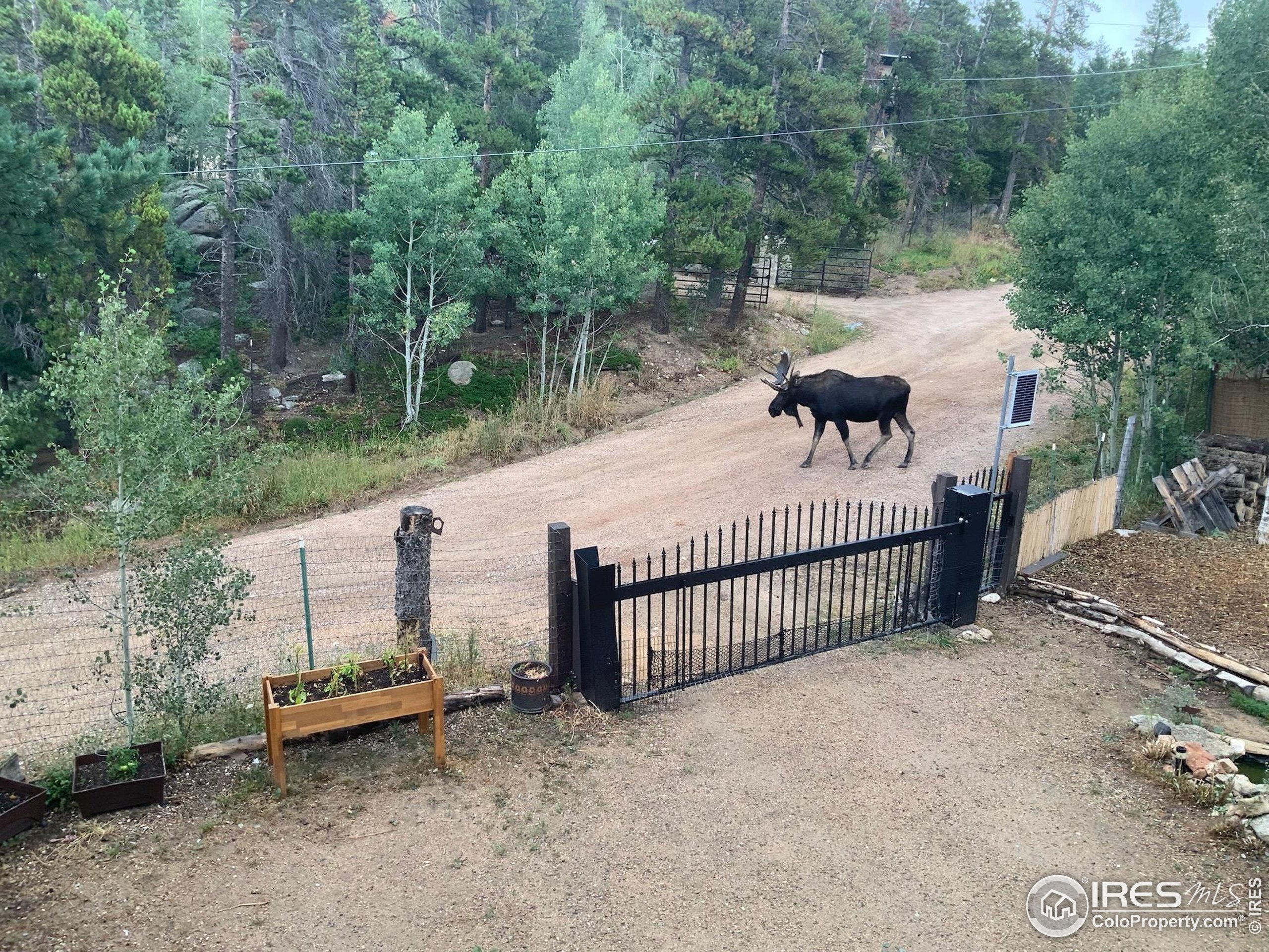 5 Rudi Lane West Golden, CO 80403 - Photo 47 of 49