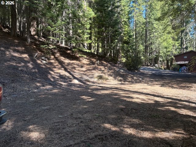 24176 Crescent Lake Road Crescent Lake, OR 97733 - Photo 25 of 36