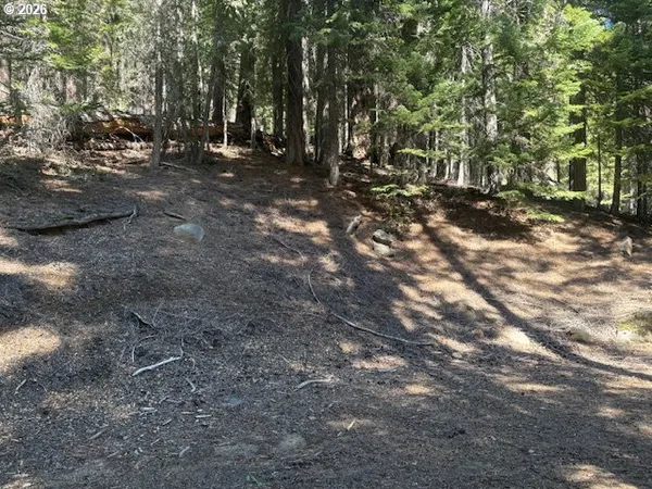 $825,000 | 24176 Crescent Lake Road, Crescent Lake, OR 97733