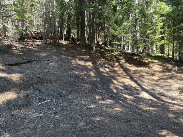 24176 Crescent Lake Road Crescent Lake, OR 97733 - Photo 26 of 36