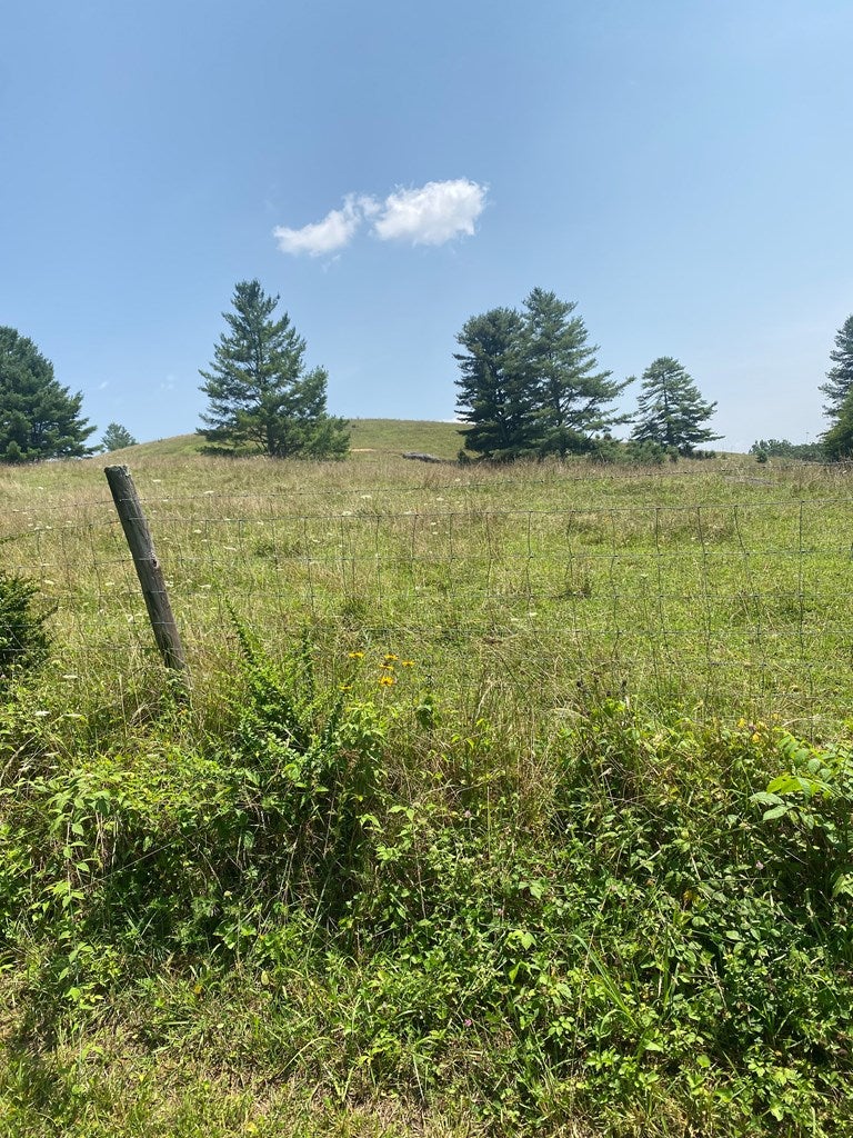 Tbd Beaver Dam Road Independence, VA 24348 - Photo 6 of 13 Gallery Image 6