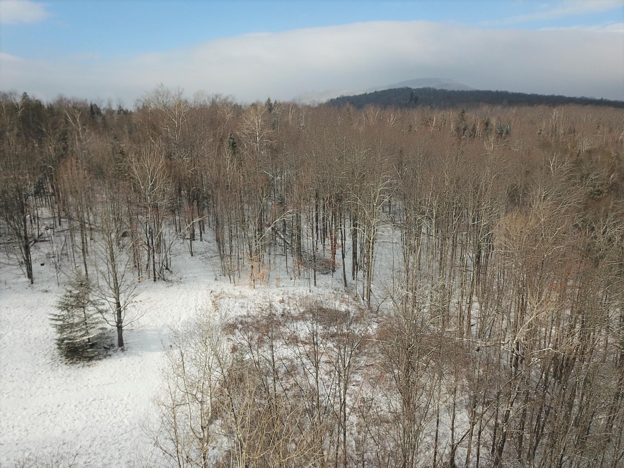 6115 Lake Road Newport Town, VT 05857 - Photo 4 of 16 Gallery Image 4