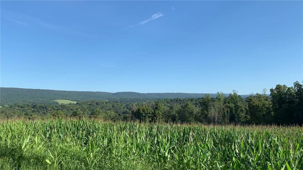 - Stewarton Road Mill Run, PA 15464 - Photo 1 of 15 a view of a lush green space