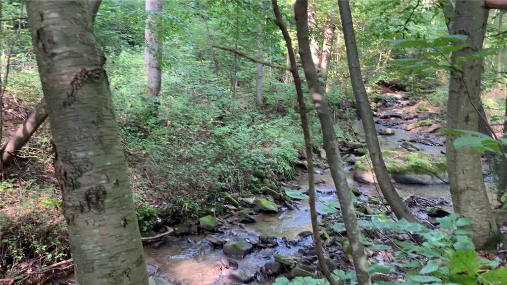 - Stewarton Road Mill Run, PA 15464 - Photo 11 of 15 a view of a forest with trees