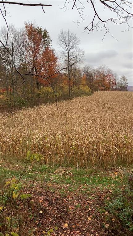 - Stewarton Road Mill Run, PA 15464 - Photo 12 of 15 a view of lake with a yard