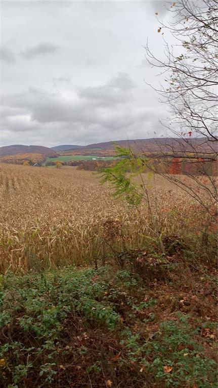 - Stewarton Road Mill Run, PA 15464 - Photo 13 of 15 a view of an ocean