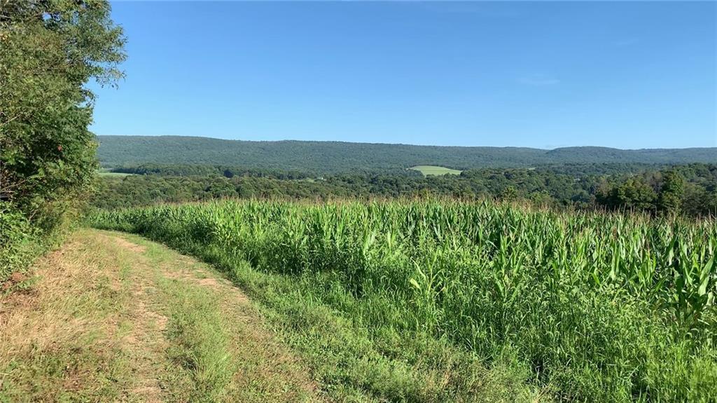 - Stewarton Road Mill Run, PA 15464 - Photo 2 of 15 a view of a lush green outdoor space with a lake view
