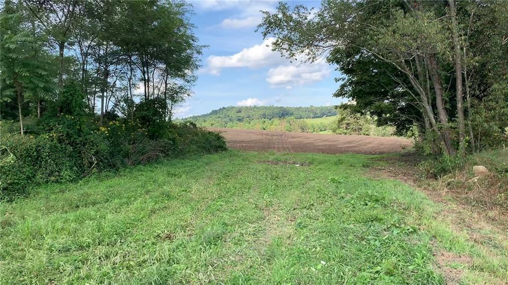 - Stewarton Road Mill Run, PA 15464 - Photo 4 of 15 a view of outdoor space and yard