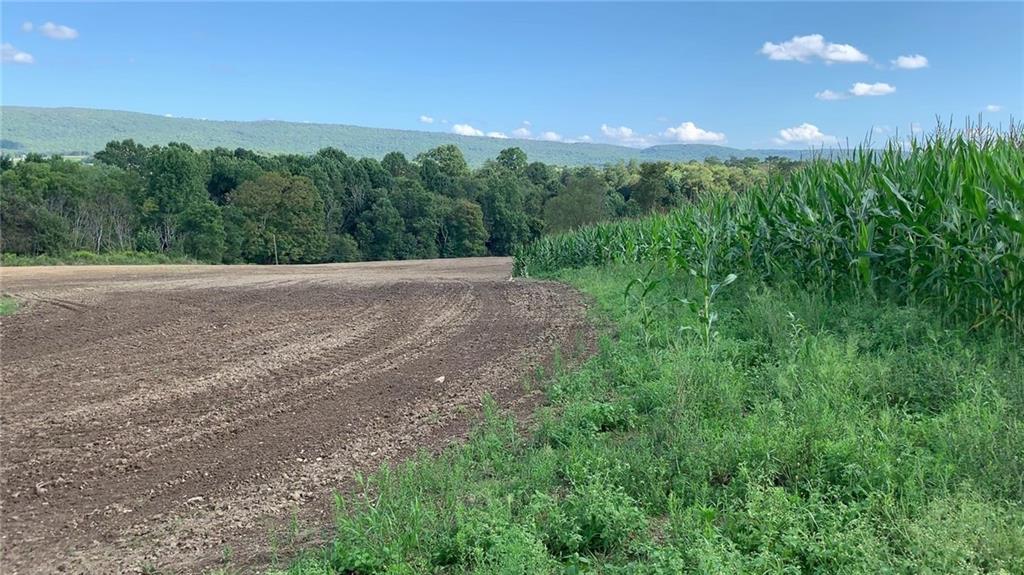 - Stewarton Road Mill Run, PA 15464 - Photo 7 of 15 a view of a green field with lots of green space