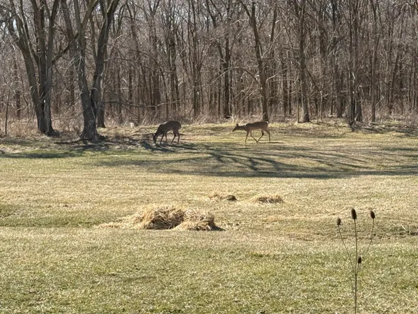 $495,000 | 13001 14 Mile Road, Sterling Heights, MI 48312