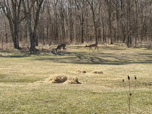 $395,000 | 13001 14 Mile Road, Sterling Heights, MI 48312