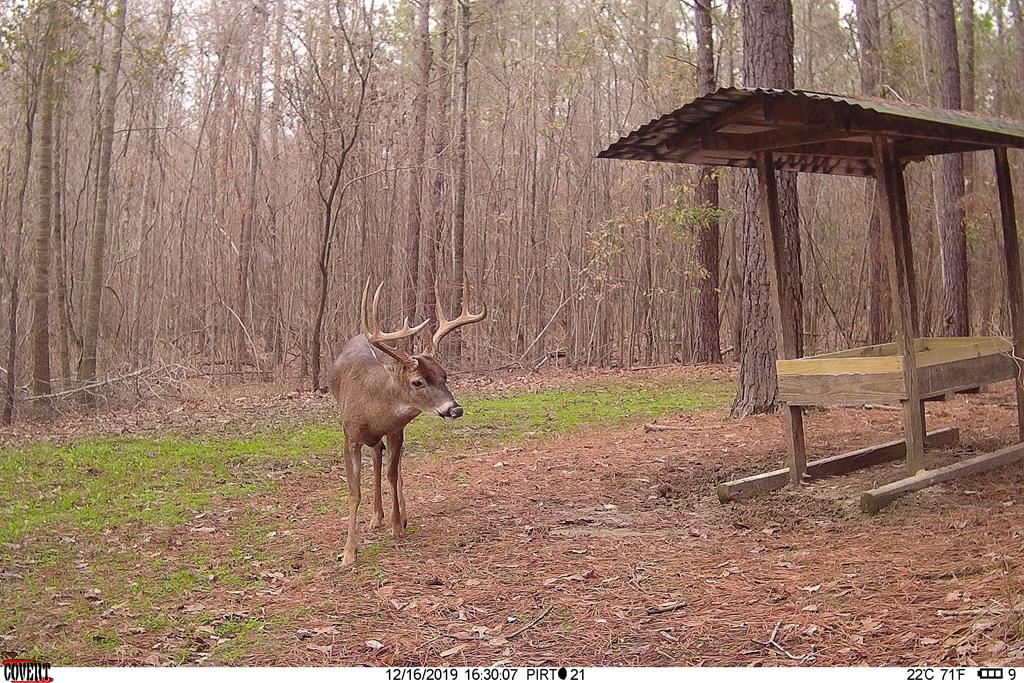 957 Us Highway Butler, GA 31006 - Photo 23 of 35 Gallery Image 23