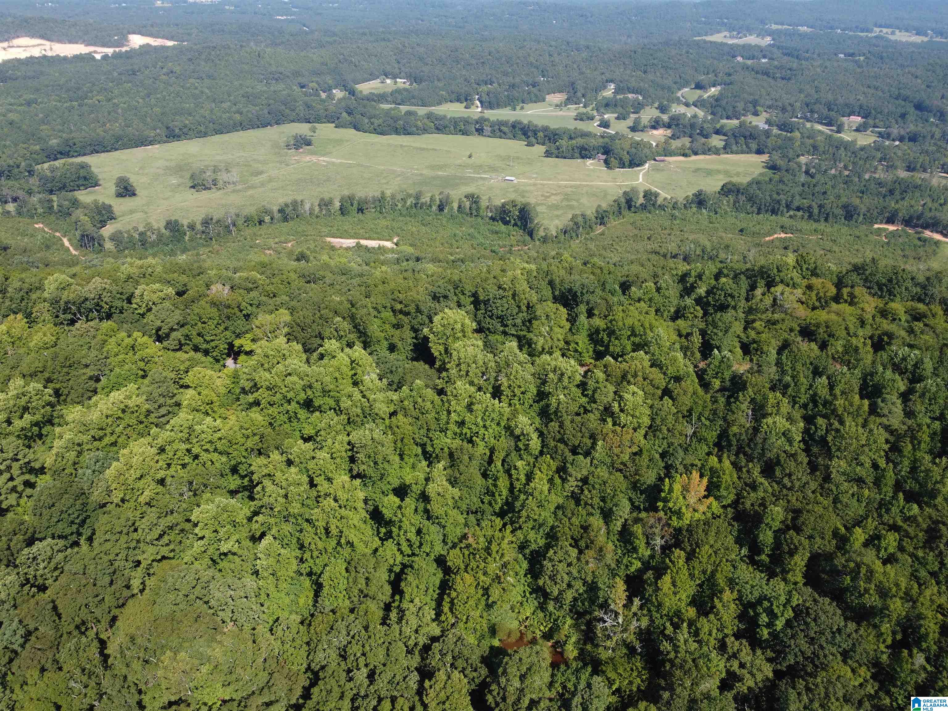 0 Beaver Mountain Road Ashville, AL 35953 - Photo 9 of 40