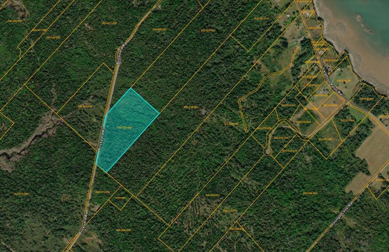 0 Brickyard Road Pembroke, ME 04666 - Photo 1 of 1 Brickyard Road