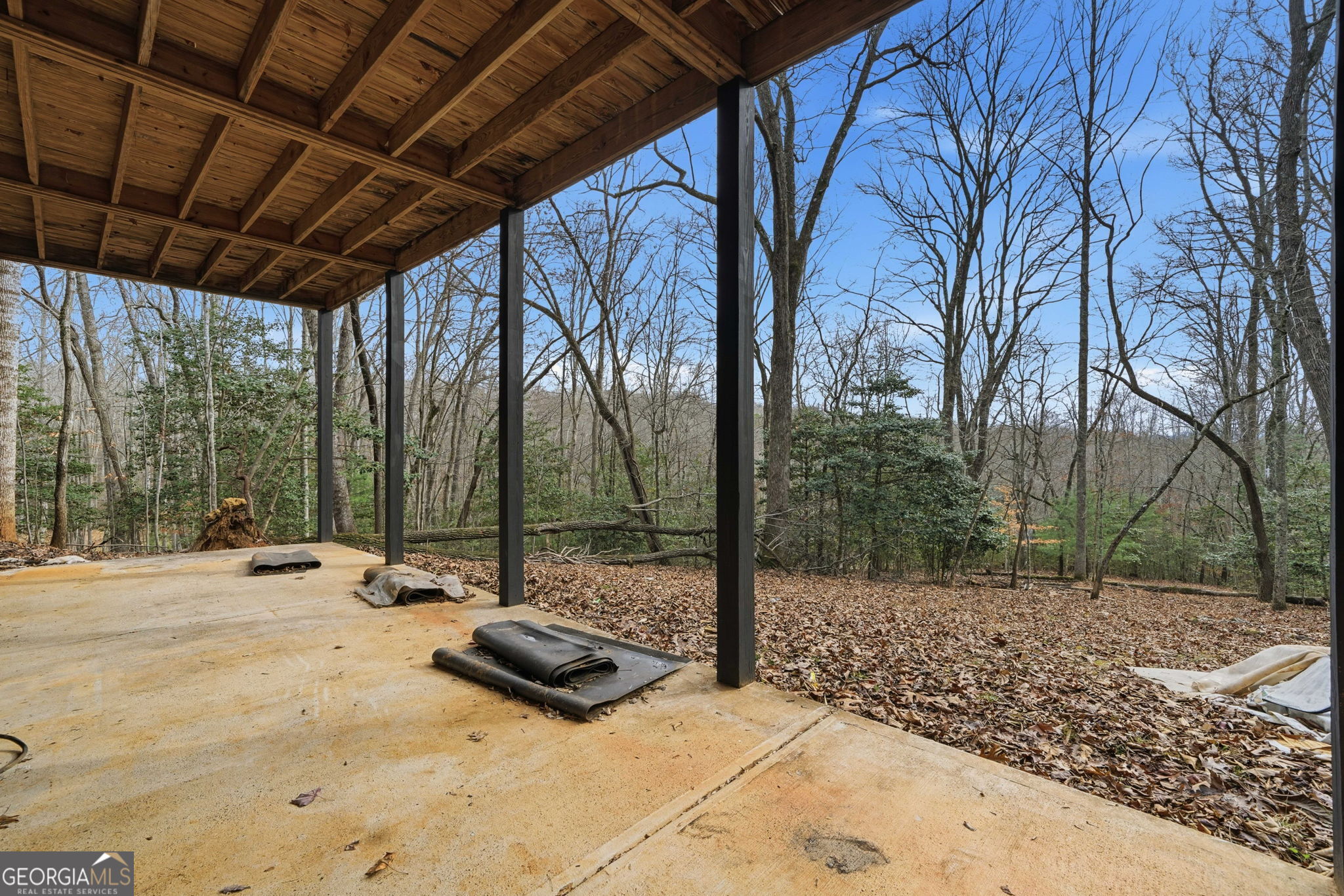 648 Stuart Mountain Road Mineral Bluff, GA 30559 - Photo 32 of 42 a view of backyard with tree
