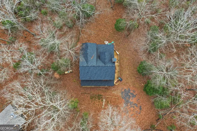 a view of a forest with trees in the background