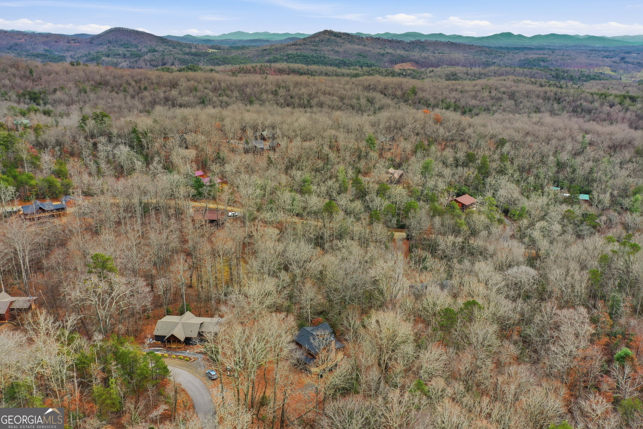 648 Stuart Mountain Road Mineral Bluff, GA 30559 - Photo 39 of 42 a view of a forest with trees in the background