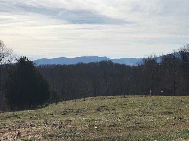 1160 Watt Stevens Road Danbury, NC 27016 - Photo 1 of 29 Gallery Image 1