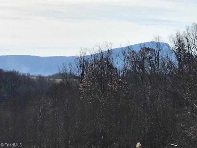 1160 Watt Stevens Road Danbury, NC 27016 - Photo 2 of 29 Gallery Image 2
