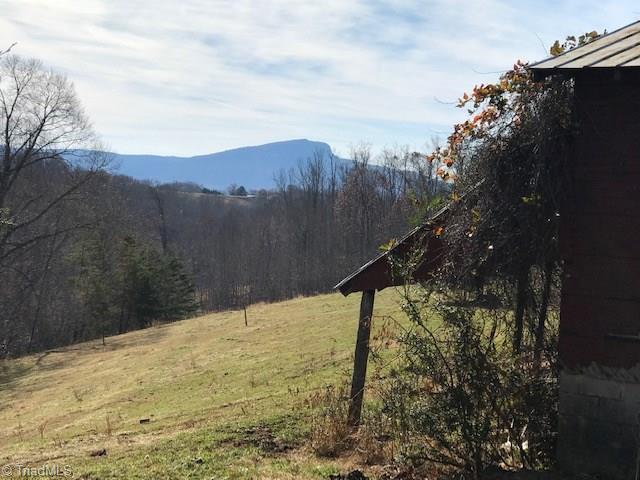 1160 Watt Stevens Road Danbury, NC 27016 - Photo 17 of 29 Gallery Image 17