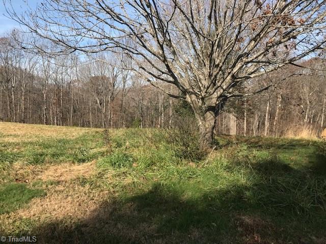 1160 Watt Stevens Road Danbury, NC 27016 - Photo 3 of 29 Gallery Image 3