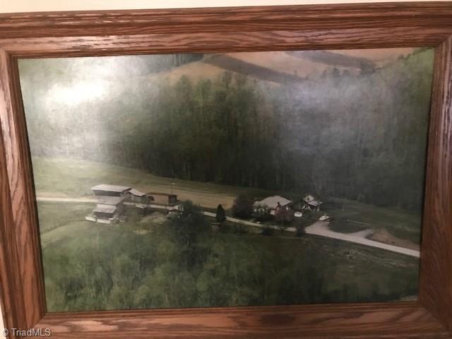 1160 Watt Stevens Road Danbury, NC 27016 - Photo 27 of 29 Gallery Image 27