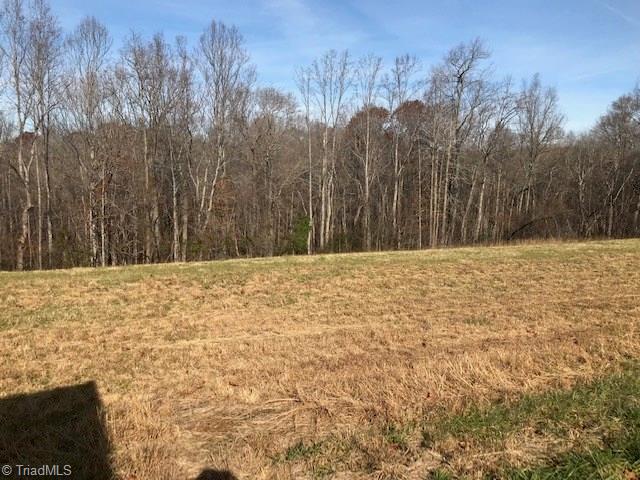 1160 Watt Stevens Road Danbury, NC 27016 - Photo 6 of 29 Gallery Image 6