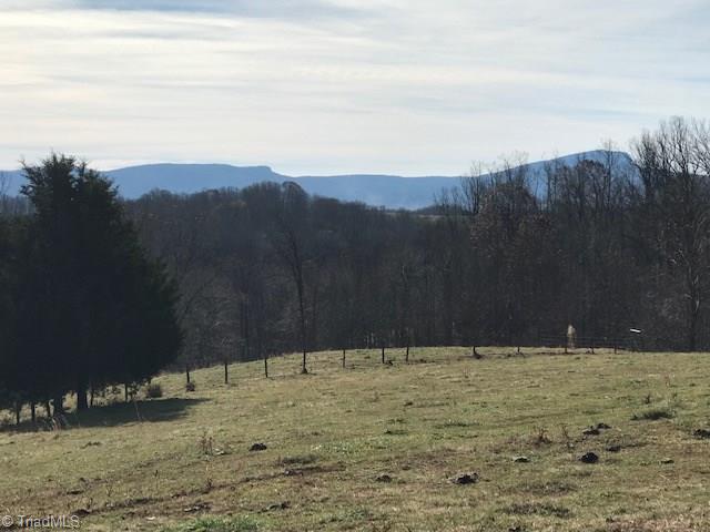 1160 Watt Stevens Road Danbury, NC 27016 - Photo 8 of 29 Gallery Image 8