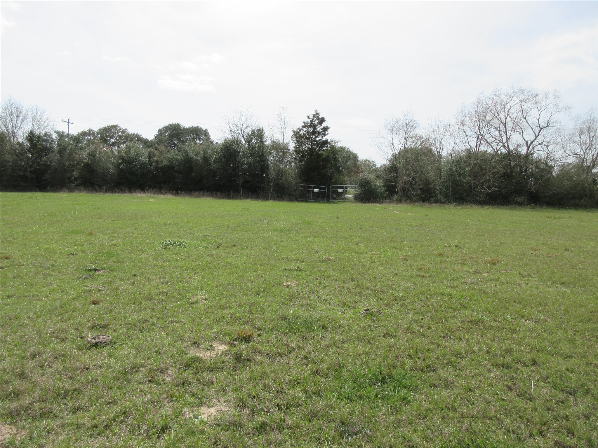 37280 Clapp Road Brookshire, TX 77423 - Photo 7 of 11 a view of outdoor space and yard