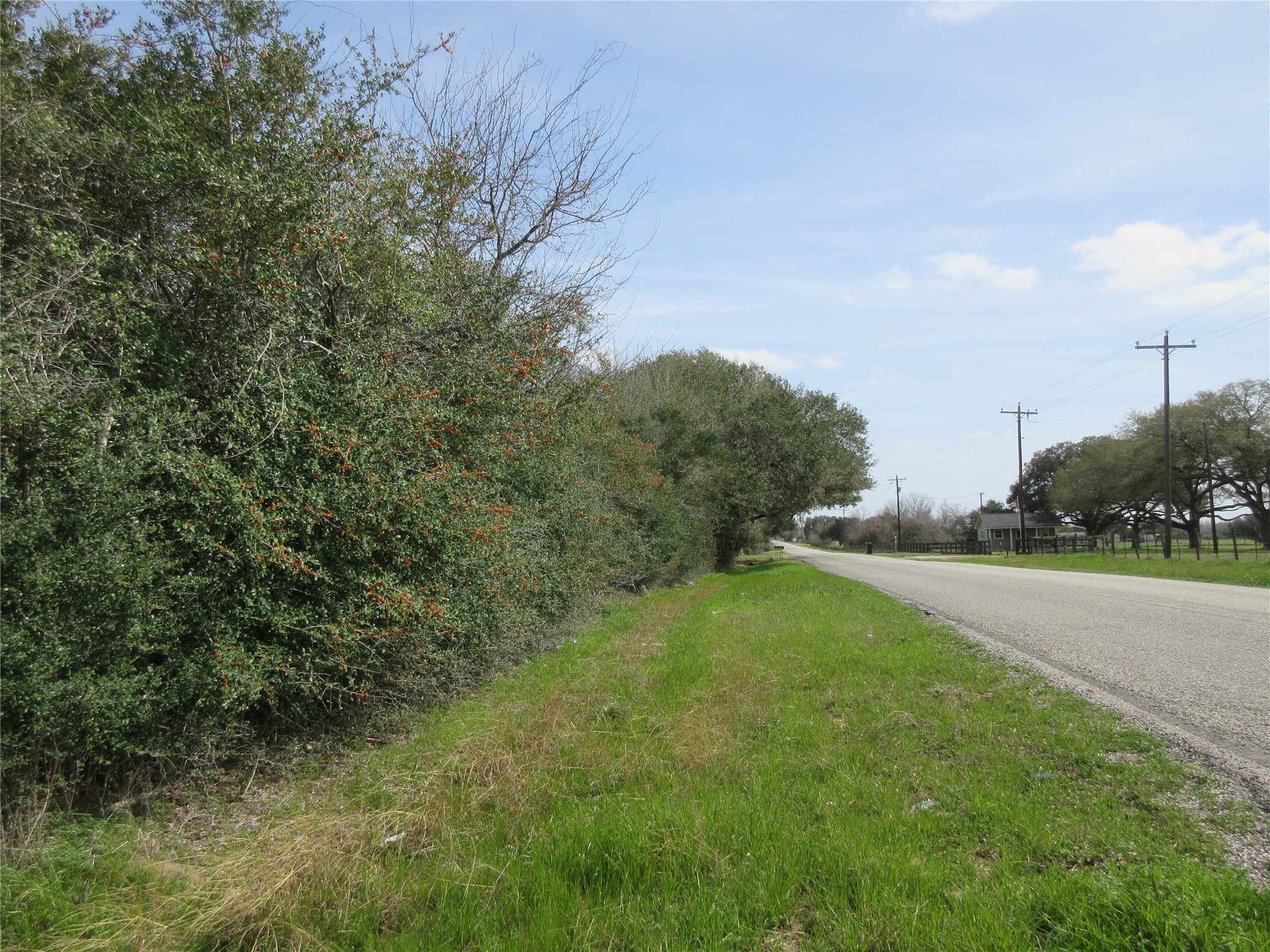 37280 Clapp Road Brookshire, TX 77423 - Photo 9 of 11 a view of a green yard with a house