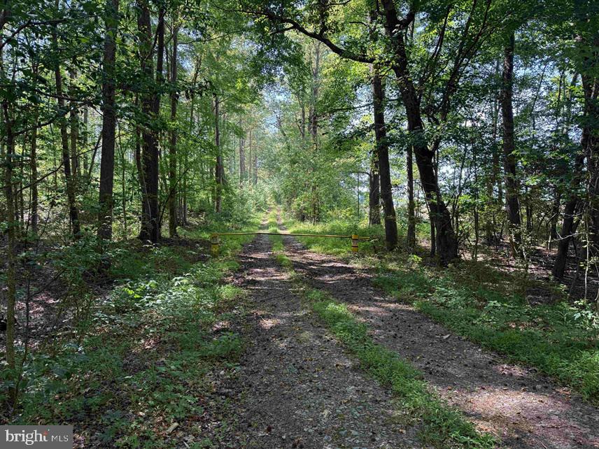 Dodlyt Road Heathsville, VA 22473 - Photo 1 of 19