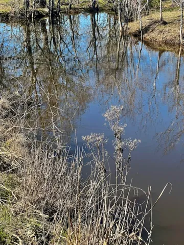 $1,286,250 | 52.5-acres Bernardo Road, Cat Spring, TX 78933