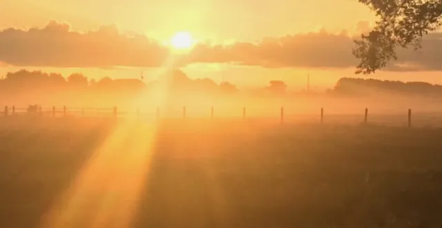 $1,286,250 | 52.5-acres Bernardo Road, Cat Spring, TX 78933