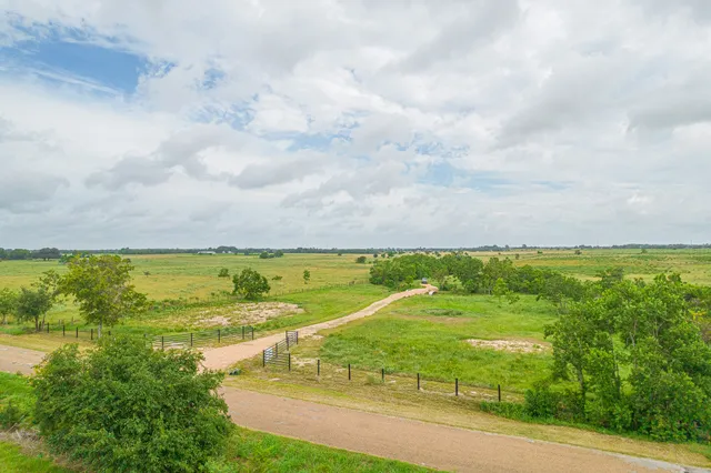 a view of a field and trees in the background