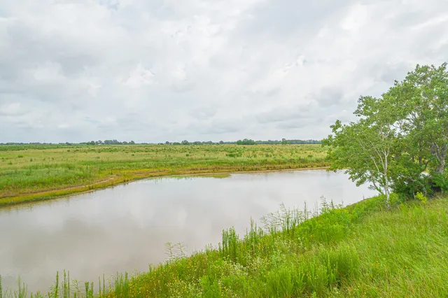 a big yard with lots of green space and fog