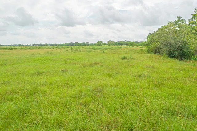 a view of a field with an trees in the background