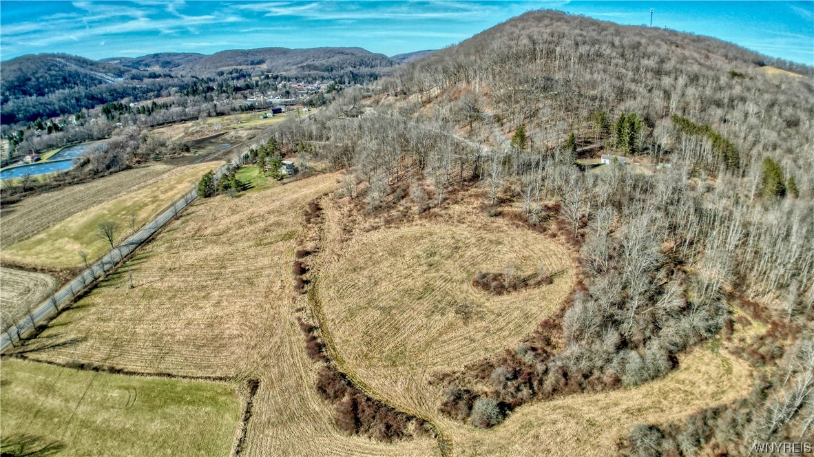 6152 Sugartown Road Ellicottville, NY 14731 - Photo 13 of 17