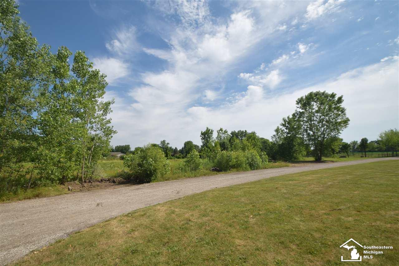 7859 Crabb Road Temperance, MI 48182 - Photo 33 of 35