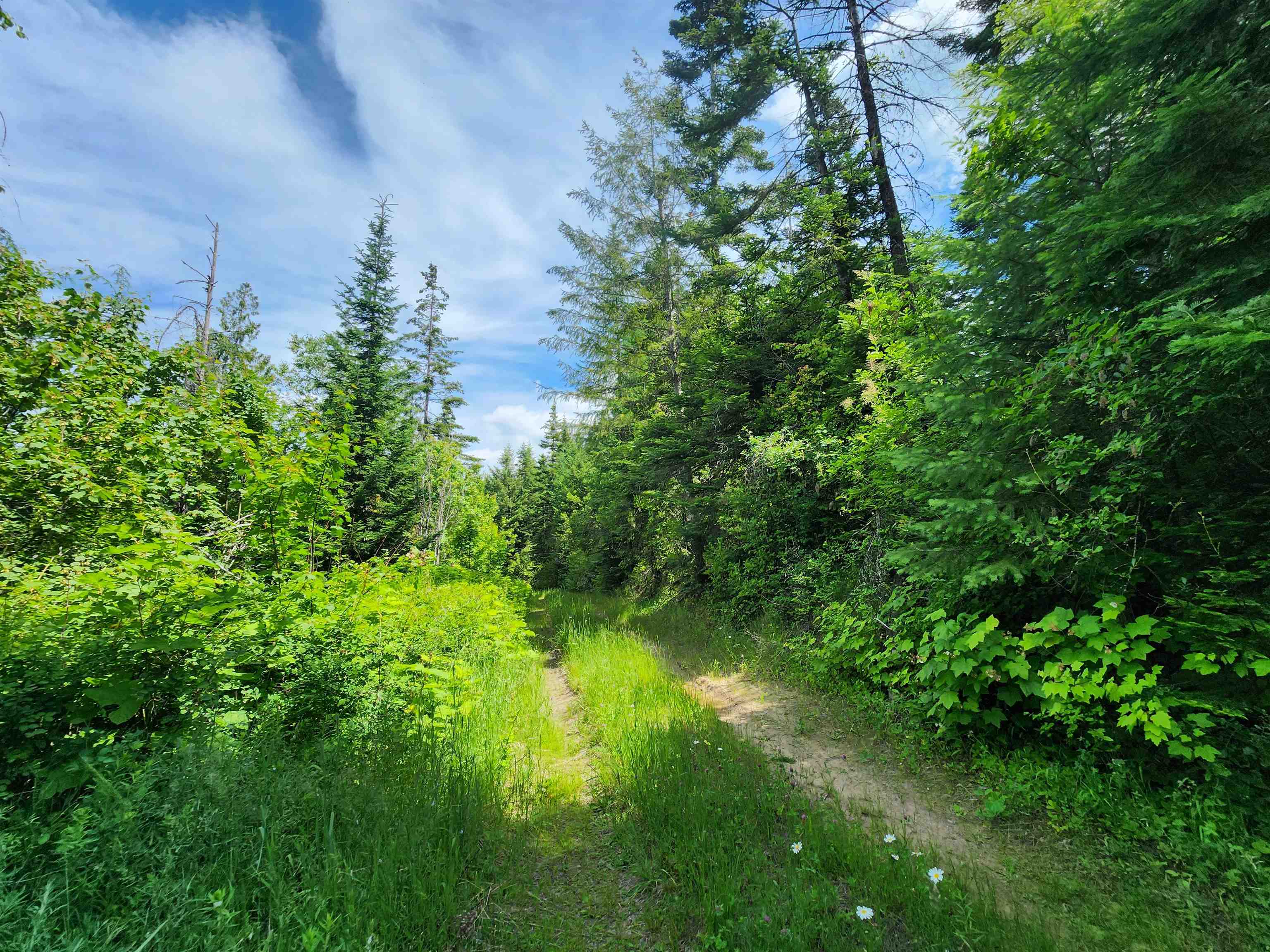 18-xxx East Eagle Ridge Lane Mead, WA 99021 - Photo 12 of 19