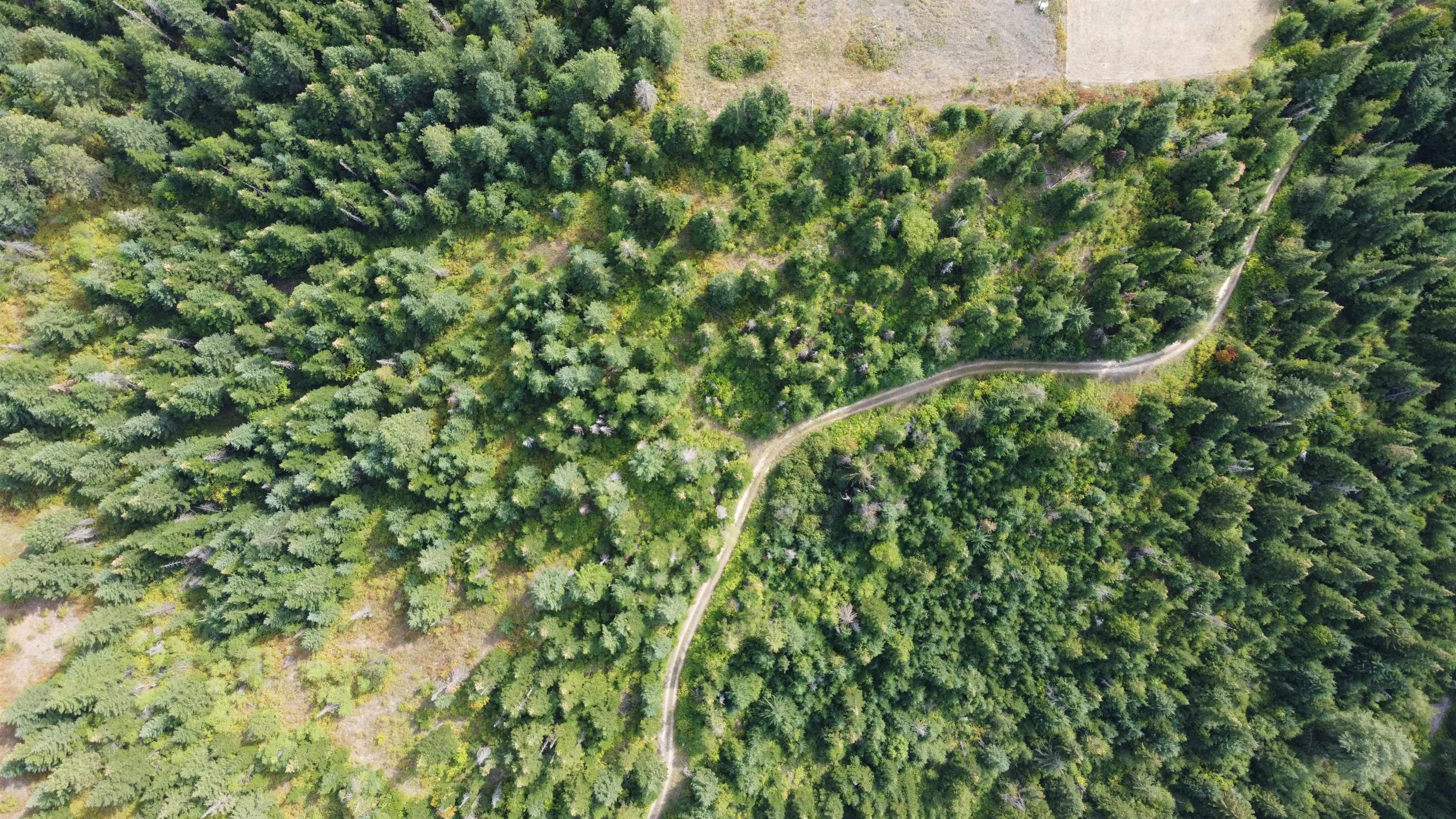 18-xxx East Eagle Ridge Lane Mead, WA 99021 - Photo 14 of 19