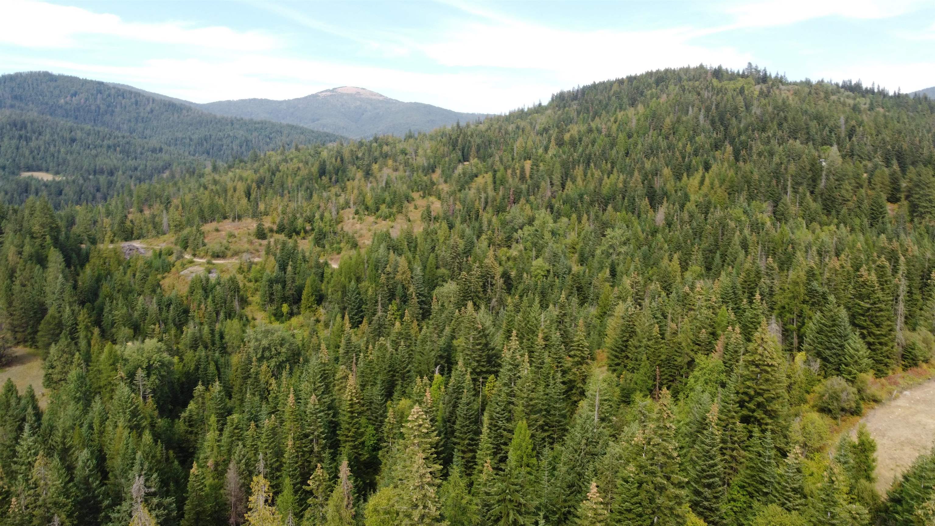 18-xxx East Eagle Ridge Lane Mead, WA 99021 - Photo 15 of 19