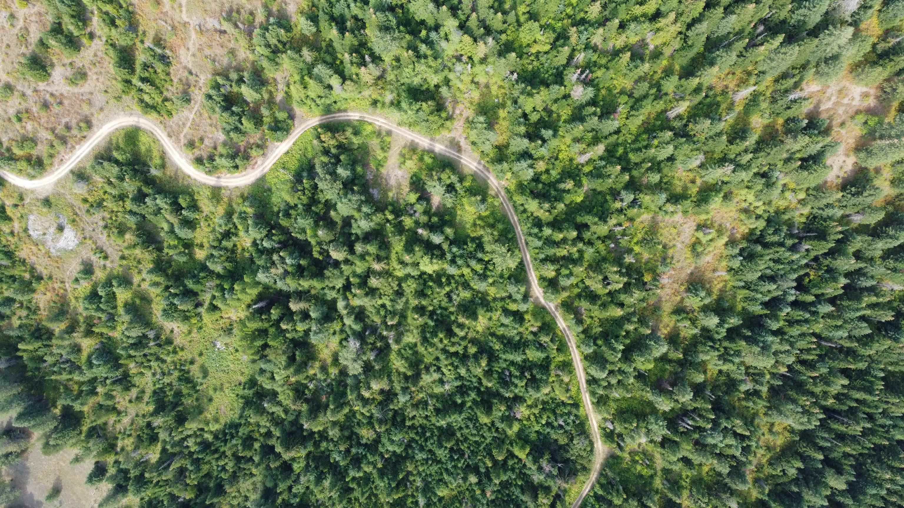 18-xxx East Eagle Ridge Lane Mead, WA 99021 - Photo 16 of 19