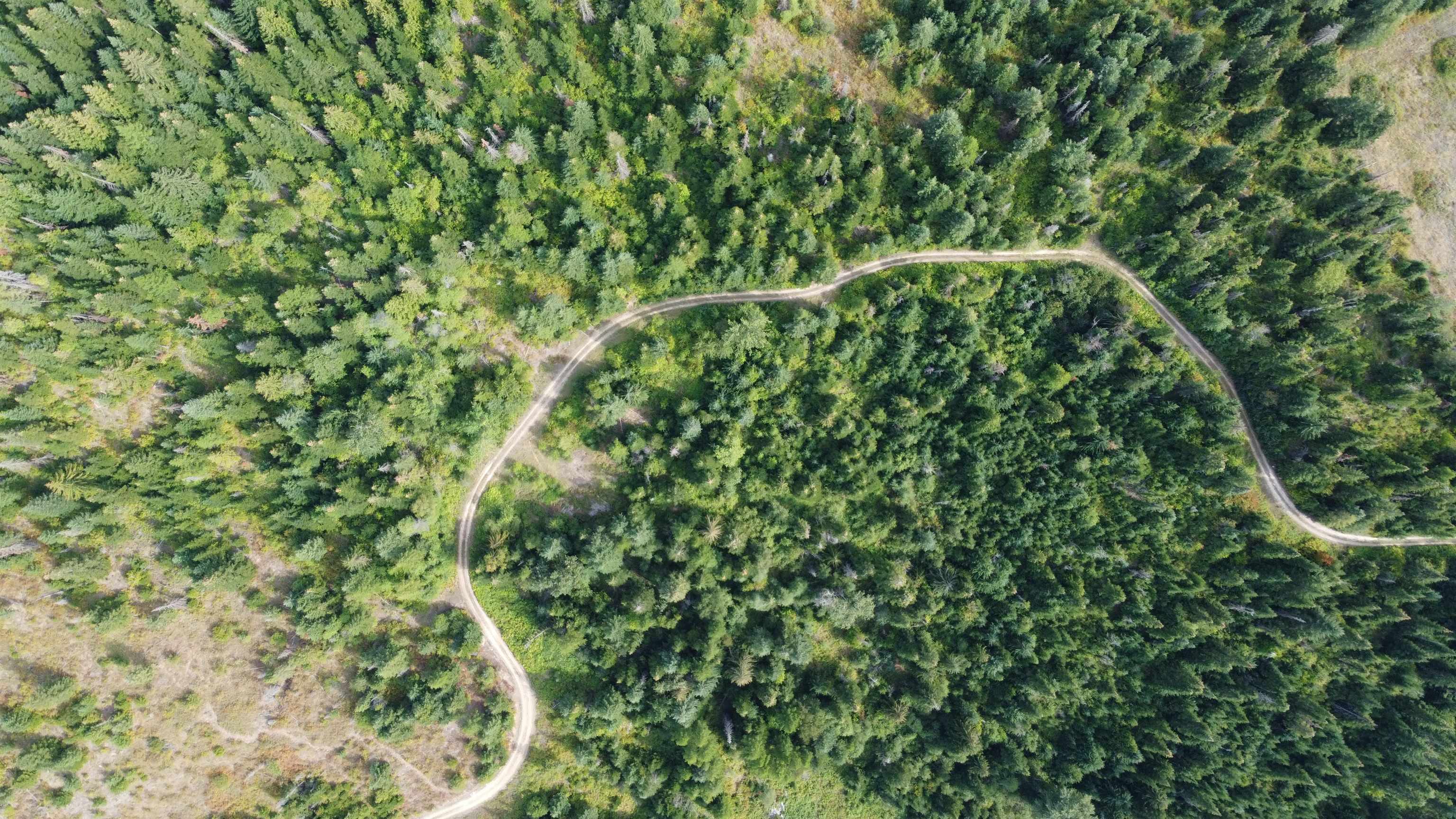 18-xxx East Eagle Ridge Lane Mead, WA 99021 - Photo 17 of 19