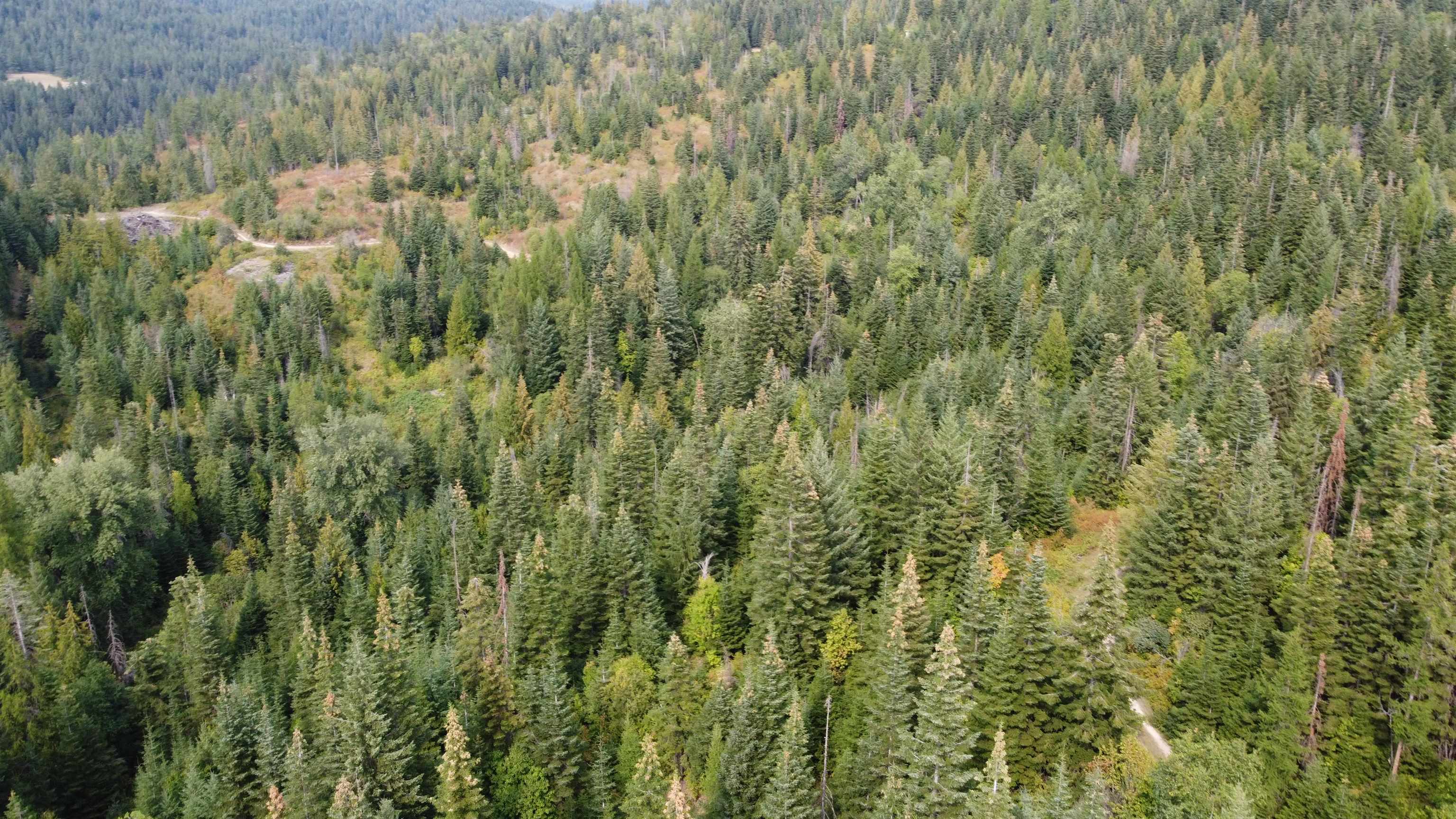 18-xxx East Eagle Ridge Lane Mead, WA 99021 - Photo 18 of 19