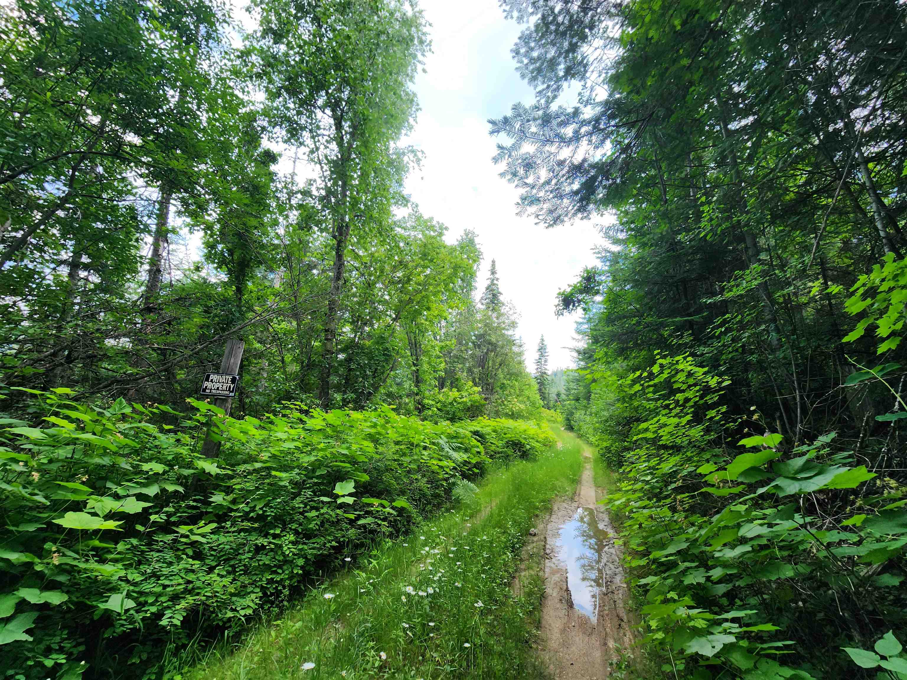 18-xxx East Eagle Ridge Lane Mead, WA 99021 - Photo 2 of 19